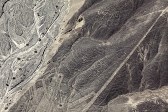 Complex line patterns and elevations in a barren landscape, the geoglyphs and images in the desert