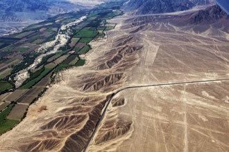 Contrasting landscape with dry desert, green fields and geoglyphs, the geoglyphs and drawings in