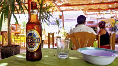 Scene in a bright restaurant with beer bottle and glass on a table, guests and tropical plants in