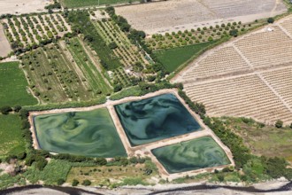 Aerial view of agricultural land with green fields and water, the desert landscape near Nasca in