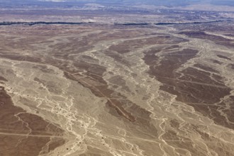 Desert landscape with genetic patterns that criss-cross the soil, the landscape and desert near