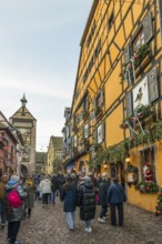 Christmassy decorated half-timbered houses, Christmas market, Riquewihr, Grand Est, Haut-Rhin,