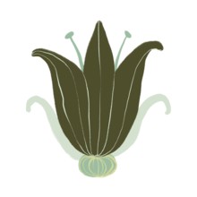 A digital illustration of a green flower with stylized organic shapes and intricate details This