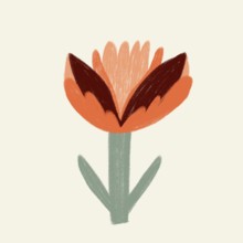 A vibrant, textured illustration of an orange tulip-like flower, perfect for spring-themed designs
