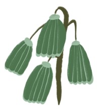 A vibrant green flower illustration depicting abstract, stylized blooms with flowing contours The