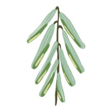 A captivating illustration showcasing delicate green flowers in a minimalist design This artwork