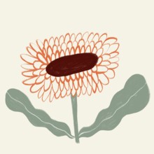 A charming digital artwork of a spring flower, featuring a prominent central disc with a vibrant