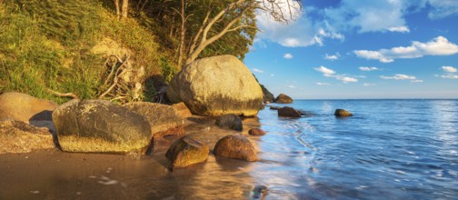 Coastal landscape with large boulders on the Baltic Sea beach in the evening light, Mönchgut Nature