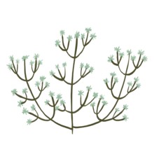 This illustration features a delicate floral theme with abstract green flowers branching out