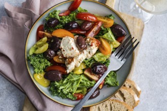 Top view of a nutritious salad featuring raw Kale leaves, multi-colored cherry tomatoes, sliced red