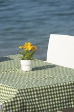 Minimalist pot of yellow flowers on green chequered restaurant table cloth beside deep blue sea,