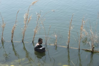 Rosetta, Egypt. June 27th 2024 An Egyptian fishermen checks his fish traps using wire baskets and
