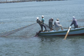 Rosetta, Egypt. June 27th 2024 Egyptian fishermen hauling their nets from the River Nile in th city