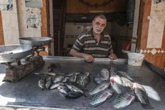 Rosetta, Egypt. June 27th 2024 An Egyptian man selling fresh fish caught in the River Nile in the