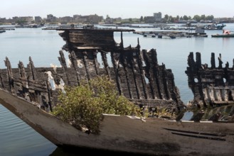 An abandoned burned out hull of a fishing boat with green plants growing inside it on the banks of