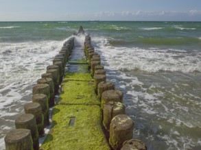 Groves, coastal protection structure, beach, Ahrenshoop, Baltic Sea, Vorpommern-Rügen district in