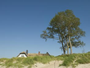 Coastal scene, with a thatched building, Ahrenshoop, Baltic Sea, Vorpommern-Rügen district in