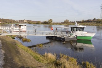Klarisse electric ferry on the Elbe at Niederlommatzsch ferry terminal, Neuhirschstein Castle in