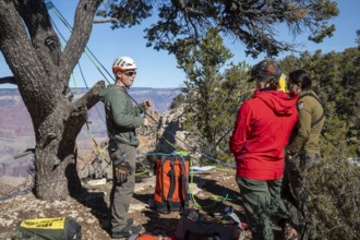 Grand Canyon National Park, Arizona. National Park Service employees practice rescue techniques on