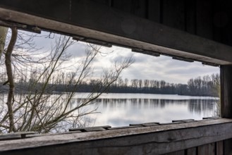 The Bislicher Insel, nature reserve on the Rhine, Altrheinarm, near Xanten, Lower Rhine, Wesel