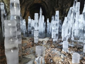 Tall icicles stretch out in a dark cave with stony walls, winter, hiking in the Franconian Forest