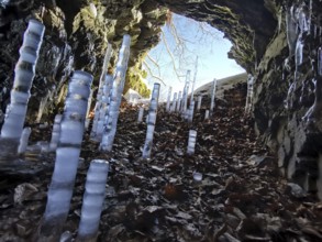 Icicles grow in a rock cave, surrounded by autumn leaves and sunlight, migrate in the Franconian