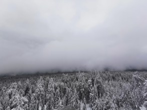 Thick fog surrounds a snow-covered forest landscape, hiking on Ochsenkopf in the Fichtelgebirge