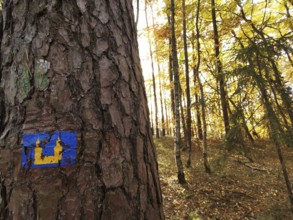Close-up of a tree with the hiking sign Fourteen Saints in autumn forest, hiking in the Franconian