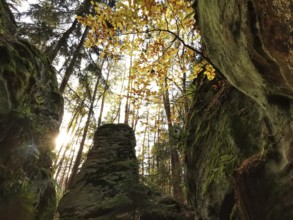 Gorge with high rocks in the forest, pierced by sunlight and autumn leaves, hiking in the