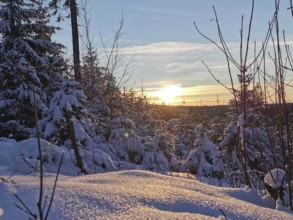 Snow-covered landscape with setting sun and calm winter sky, winter, hiking in the Franconian