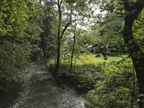 A quiet river flows through a wooded area in the Steinachklamm, where light and shadow create a