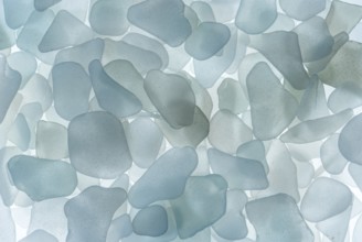 White broken glass, sea glass, sea glass, sea glass, from the North Sea