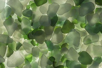 White and green broken glass cut by the sea, sea glass, sea glass, beach glass from the North Sea
