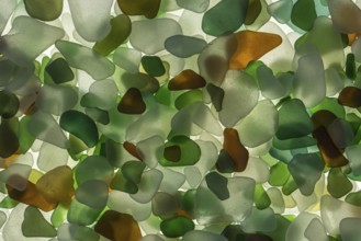 Colourful broken glass cut by the sea, sea glass, sea glass, beach glass from the North Sea