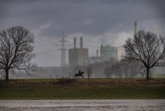 Riders on the banks of the Rhine opposite Krefeld-Uerdingen, in winter, the Krupp-Mannesmann