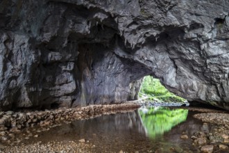Zelske Jama cave, Rak river, Rakov Skocjan, Notranjska region, Slovenia