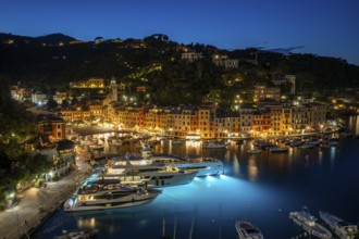 Boats in Portofino Harbour, Evening, Portofino, Liguria, Italy