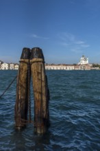 View of Santa Maria della Salute and the Campanile in Venice from Giudecca Island, Venice, Veneto,
