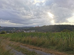 View of Rosenberg Fortress in Kronach with a corn field in the foreground under a cloudy sky,