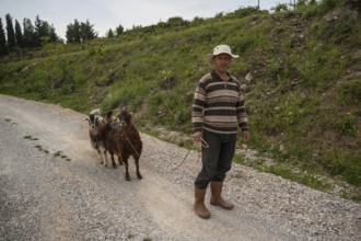 Sirince Village, Selcuk, Izmir Turkey. May 1st 2017. Sirince Village near Selcuk in Izmir Turkey