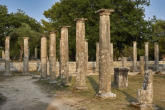 Palestra, row of ancient columns in the open air against a background of trees, Archaeological