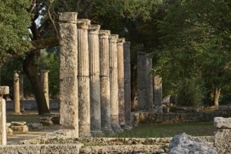 Palestra, set of ancient columns in a wooded area, Archaeological Site, Ancient Olympia, Olympia,