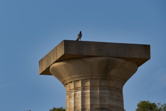 Temple of Zeus, A single column with a bird under a blue sky, Archaeological Site, Ancient Olympia,