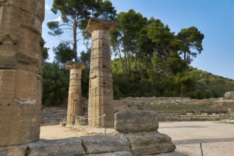 Temple of Hera, Temple of Hera, Heraion, Ancient column ruins against a wooded backdrop,