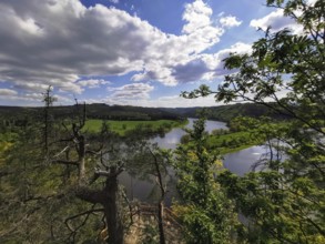 Extensive view of a river and forest from a viewpoint under a blue sky, hiking in the Thuringian