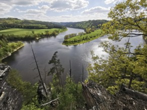 A panoramic view from the Agnesruh viewpoint on a loop of the Saale in the midst of green hills and