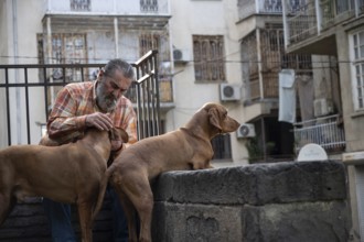 Tbilisi, Georgia. September 12th 2025. A local Georgian man with his pet dogs in the streets of