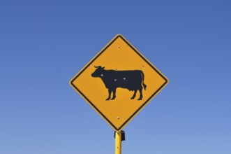 A sign with a cow symbol and a few bullet holes under clear blue sky, Monument Valley, Navajo
