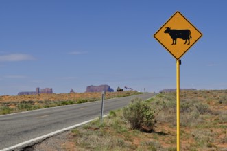 Cow warning sign next to a winding road through the desert near Monument Valley, Navajo Tribal