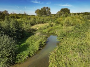 Datteln, North Rhine-Westphalia, Germany - Renatured Dattelner Mühlenbach just in front of flowing